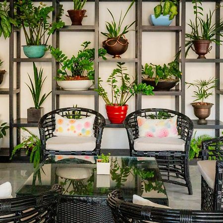 ปาลาซิโอ มุนโด อิมพีเรียล Hotel อากาปุลโก ภายนอก รูปภาพ A balcony garden
