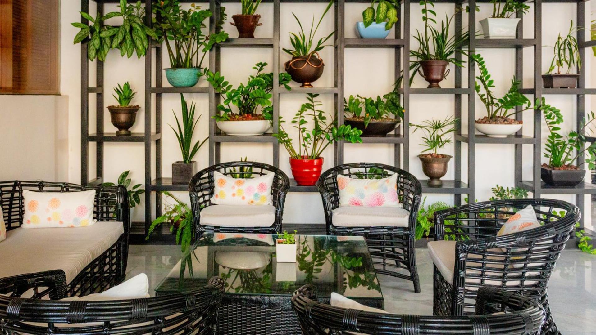 ปาลาซิโอ มุนโด อิมพีเรียล Hotel อากาปุลโก ภายนอก รูปภาพ A balcony garden