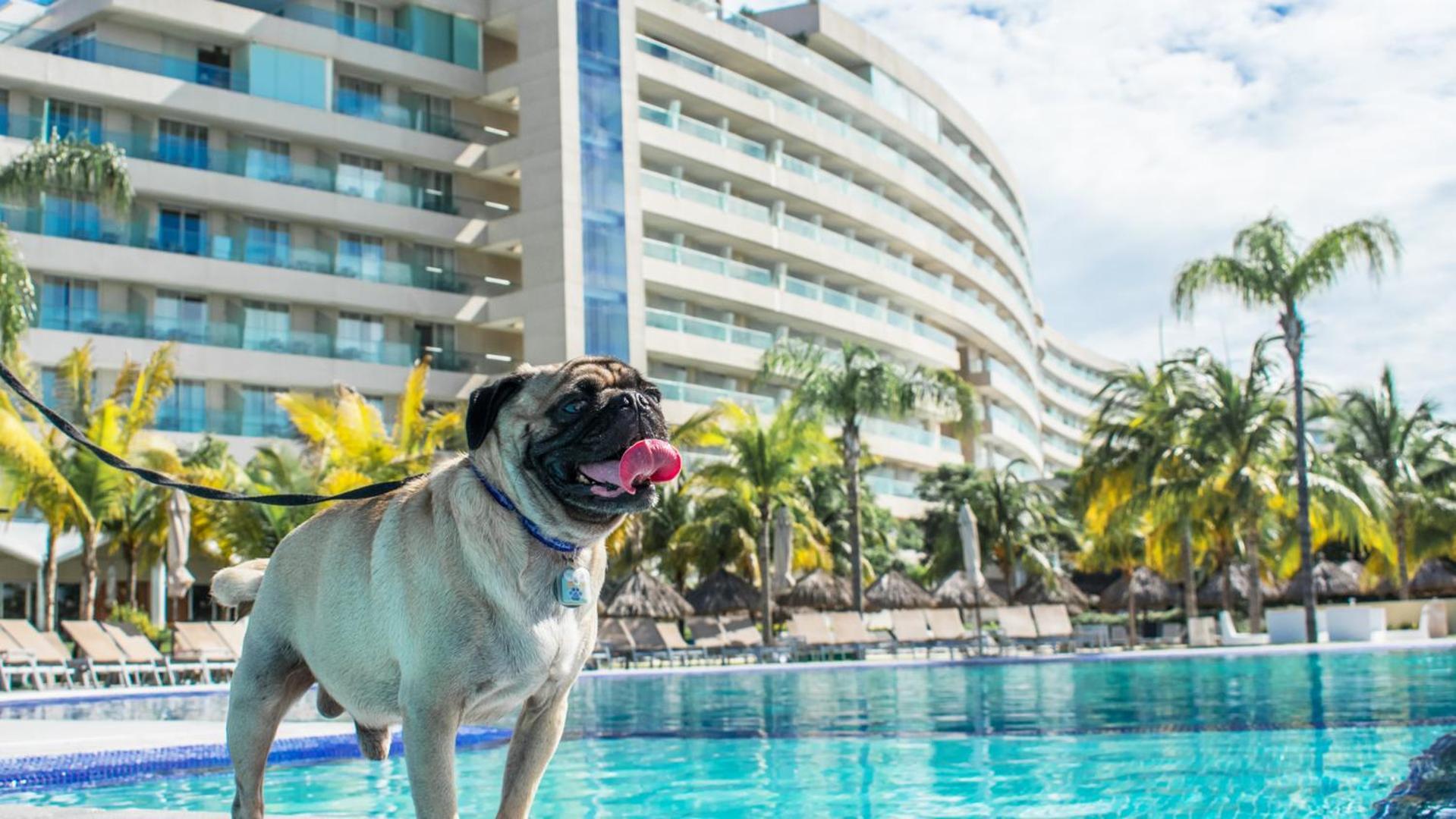 ปาลาซิโอ มุนโด อิมพีเรียล Hotel อากาปุลโก ภายนอก รูปภาพ Millyard at the Hard Rock Hotel in Cancun